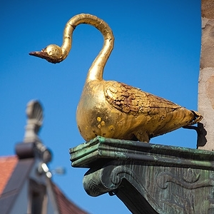 Goldener Schwan